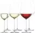 Schott-Zwiesel VUELO Wein- und Champagnergläserset, transparent, 6-teilig