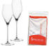 Spiegelau Definition Champagnerglas 2er Set mit Poliertuch 4003322299387 (1355169)