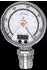 ifm Drucksensor -2 bis 40.15 inH2O, M12, 1 Öffner/1 Schließer, Analog (PG2889)