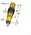 Turck BI2-S12-AP6X/S100 Induktiver Sensor (4653023)