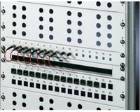Rittal Kabeldurchf&uuml;hrungs-Panel 1HE B&uuml;rstenleiste RAL 7035 Multimedia-Technik 19