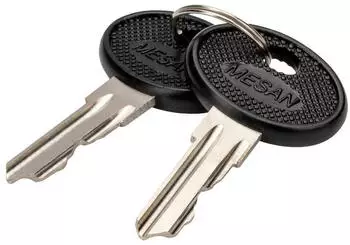 Digitus Schl&uuml;ssel f&uuml;r Varioflex-N, Unique Serverschr&auml;nke & Wandgeh&auml;use, 2 St&uuml;ck (DN-19-KEY-4444)