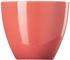 Thomas Sunny Day soft red