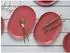 CreaTable Orient Mandala Servierplatten-Set 2-tlg., rot, Porzellan (21631)