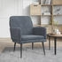 vidaXL Sessel Dunkelgrau 62x79x79 cm Samt 62x79x79 cm (351405)