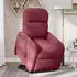 vidaXL Relaxsessel mit Aufstehhilfe Stoff Weinrot (3302975)