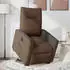vidaXL Relaxsessel mit Aufstehhilfe Elektrisch Braun Stoff (3324069)