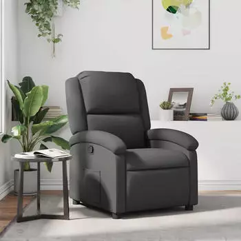vidaXL Relaxsessel Echtleder Grau