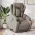 vidaXL Relaxsessel mit Aufstehhilfe, taupe, Stoff (3204490)