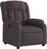 vidaXL Pauline elektrischer Relaxsessel, Stoff, dunkelbraun (3205297)