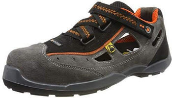 Base Aerobic B0617 S1P ESD