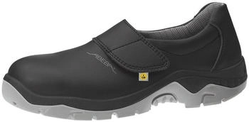 Abeba ESD S2 HACCP ESD anatom 32135