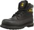 Caterpillar Holton
