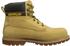 Caterpillar Holton