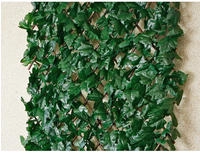 Noor Rankhecke Weide 1 x 2 m; 15421