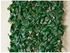 Noor Rankhecke Weide mit Laub Laubhecke Spalier 1x2 m (15421)