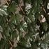Noor Rankhecke Weide mit Laub Laubhecke Spalier 1x2 m (15421)