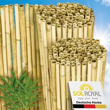 Sol Royal Hell Glänzend Premium Bambus Sichtschutz 160x250cm