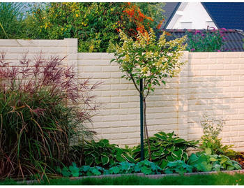 Beckers Betonzaun Platte Klassik-Stein 144 x 30 x 4,5 cm grau (2766111)