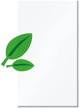BM Massivholz Systemglas Typ 228 Glas glasklar 120x180cm (44314)