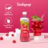 Sodapop Keli Himbeer Sirup (10025829)