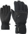 Ziener Glyn GTX + Gore Plus Warm Glove Ski Alpine black