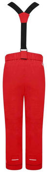 Dare2b Outmove II Skihose (DKW419) red