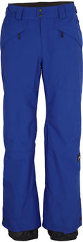 O'Neill Men Hammer Pants surf the web blue