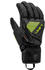 Leki Alpino WCR C-Tech 3D