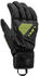 Leki Alpino WCR C-Tech 3D