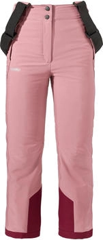 Sch&ouml;ffel Ski Pants Joran G viola