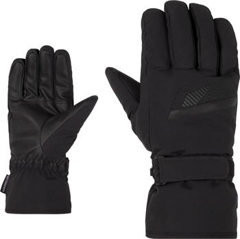 Ziener Gordanus ASR Glove Ski Alpine (801231) black/graphite