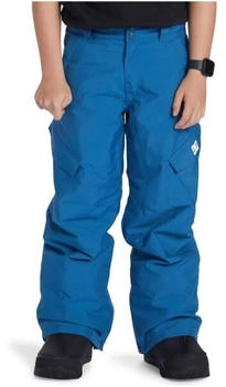 DC Shoes Banshee Youth Pant blau schwarz