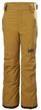Helly Hansen Legendary Pant lynx 787
