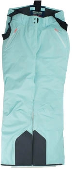 Jack Wolfskin Great Snow Pants Felix Neureuther Skihose blau schwarz 1113521-1231