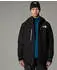 The North Face Descendit Skijacke tnf black