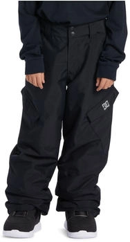 DC Shoes Banshee Funktionelle Schneehose schwarz