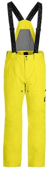 Spyder Skihose 'Dare' AYW