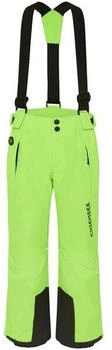 Chiemsee Hose Ski Pants Green Gecko