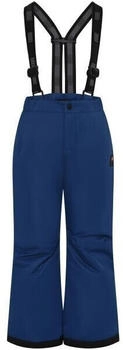 LEGO Wear LWPAYTON 701-SKI Hose dark blue