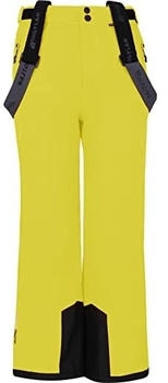 Whistler Skihose Fairfax fluoreszierendes sonnenblumenorange gelb