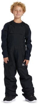 DC Shoes Skihose 'Roadblock'