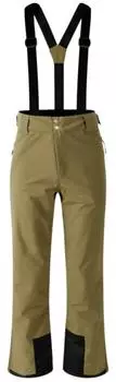 Dare2b Achieve II wasserdichte Skihose Herren gr&uuml;n (DMW486)