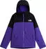 The North Face Freedom Skijacke (Herren)