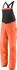 Patagonia SnowDrifter Bibs Skihose (Damen)