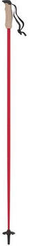 Atomic Amt Carbon Poles silver