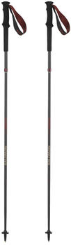 Salomon Quest Carbon Foldable Poles Silver