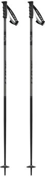 Scott signature poles transparent