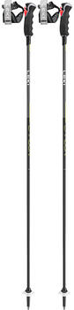 Leki Carbon 12 3D Skistock