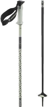 Salomon POLAR PRO S3 white moss